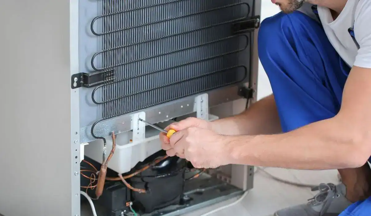 Technician inspecting refrigerator compressor to identify and fix a buzzing or noisy fridge problem at home.